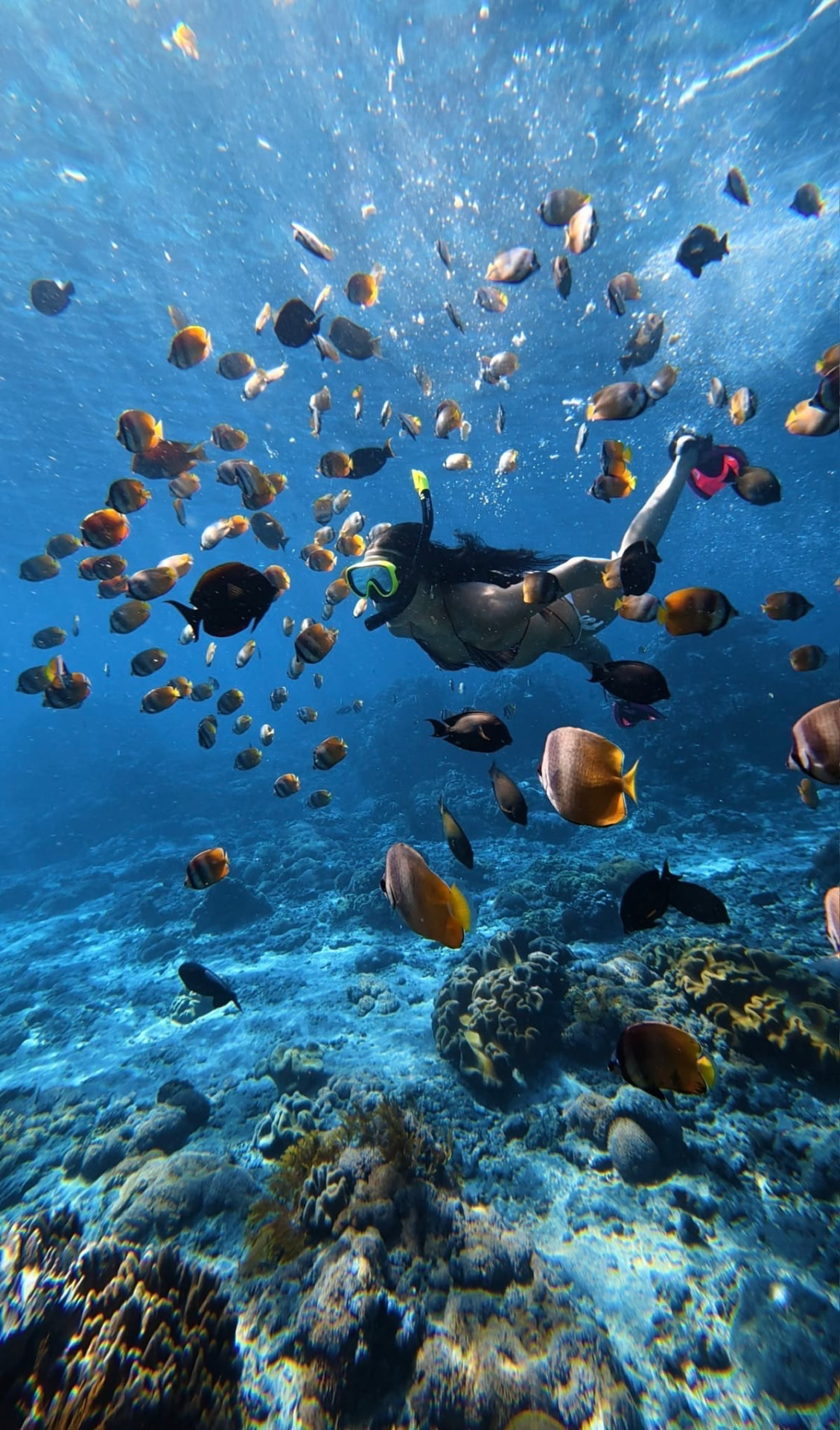 Snorkelling