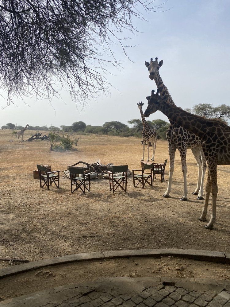 Picnic at Nguuni Sanctuary